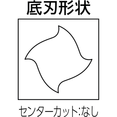 ソリッドエンドミル【4RDSM120-260-12】