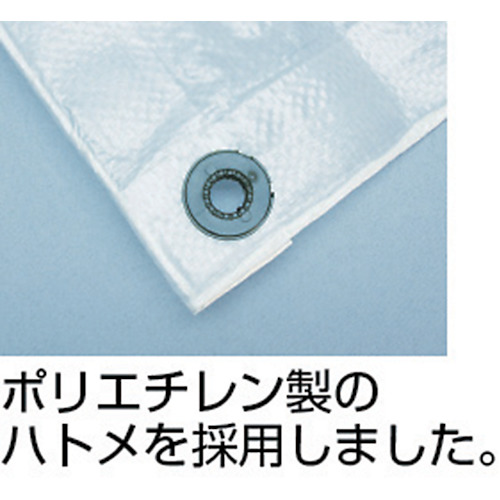 シースルーシート 1.8m×2.7m【B-301】
