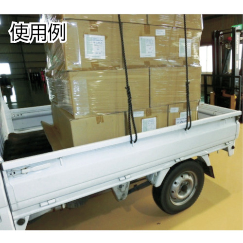 台付ポリプロンピレンロープ 線径12mmX長さ1m【TPP-121】