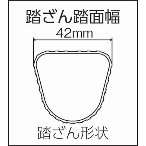 1連はしごスーパーコスモス1CSM型 3m【1CSM-30】