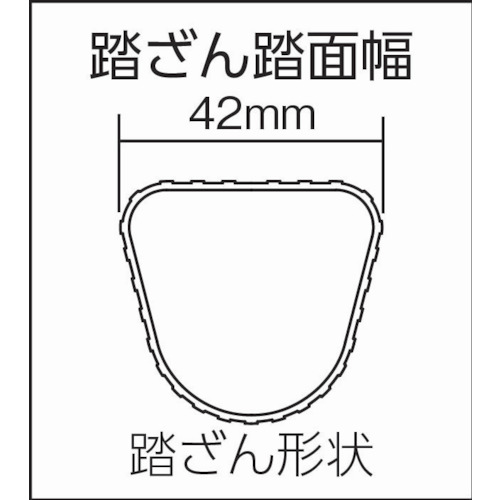 2連はしごスーパーコスモス2CSM型 6m【2CSM-60】