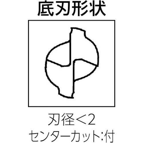 超硬エンドミル スクエア φ0.3×刃長0.9【C-CES 2003-0090S】