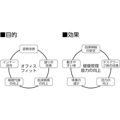 小楽体(らくだ)【KORAKUDA】