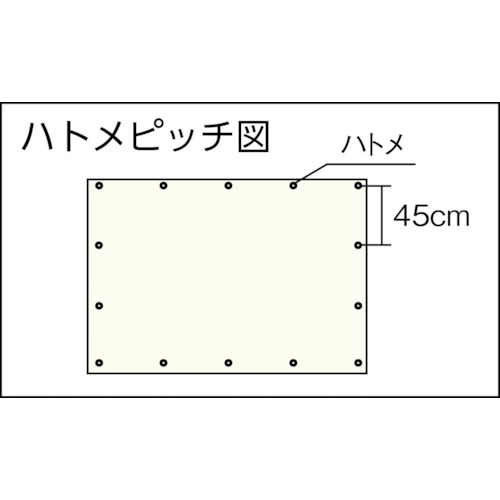 透明シート1.8m×3.6m 0.1mm厚【B-342】