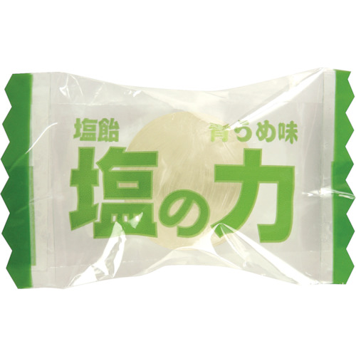 塩飴 塩の力 100g袋入 青梅味 (1袋入)【TNU-100】