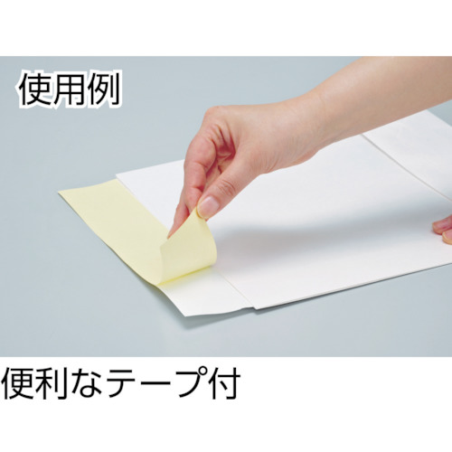 梱包宅配袋25枚入り(大)【SGW-L】