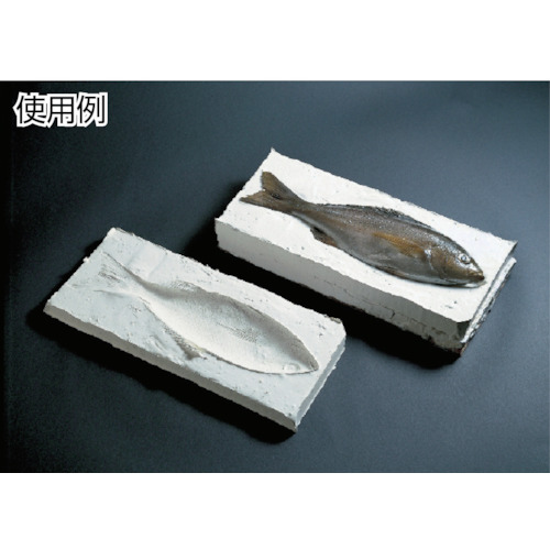 一般型取り用 2液 1kg【KE20】