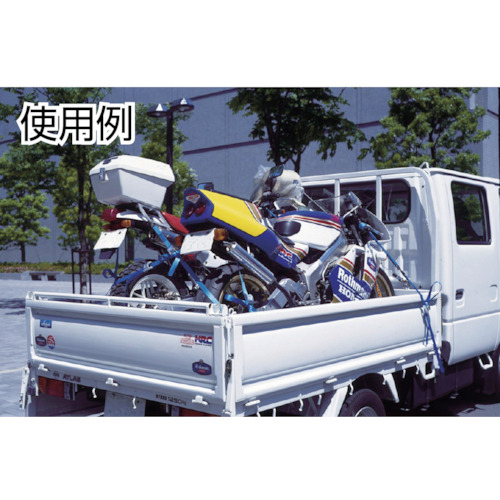 ラッシングベルト(ベルト荷締機)カムバックル式エンドレスタイプ【C03N040-000A】