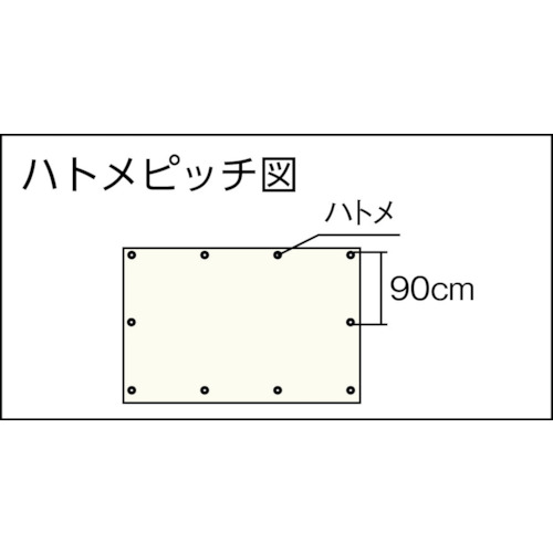 10年シート 幅3.6mX長さ5.4m【TUV13000-3654】