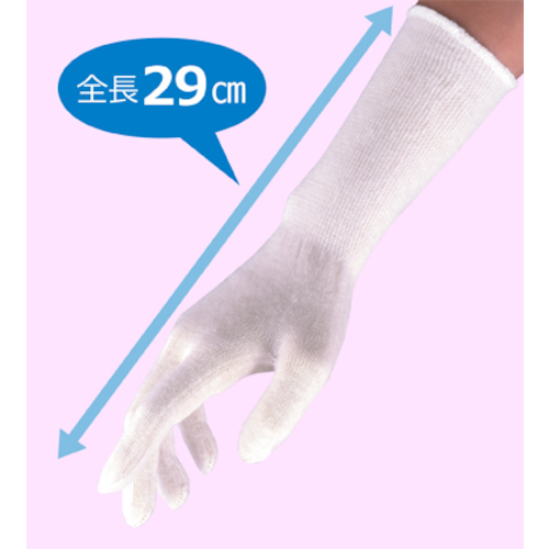 コットン手袋【CTN-W】