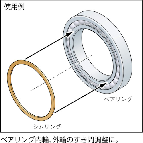 シムリング(鉄) 3X6X0.3mm (10枚入)【RF003006030】