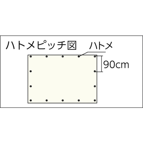 #3000 ブラックシート 3.6mx5.4m【BKS-11】