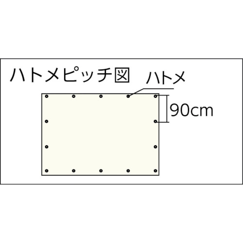 #3000ODグリーンシート 2.7mx3.6m【OGS-05】