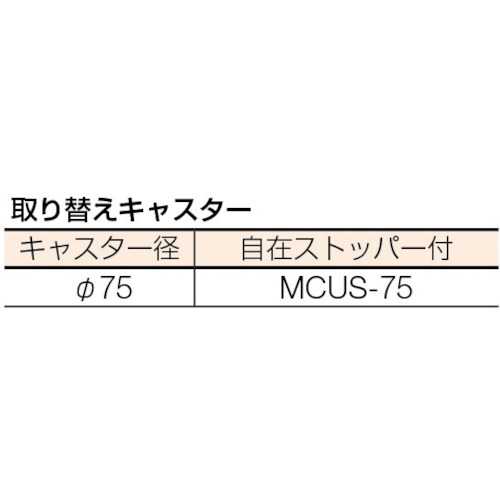 ステンレスワゴンMN02型【MN02-6045】