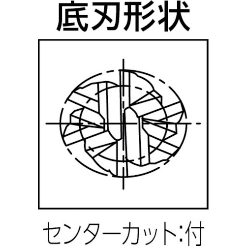 マルチリードRF100SF 高能率仕上げ用6枚刃径8mm【3631 008.000】