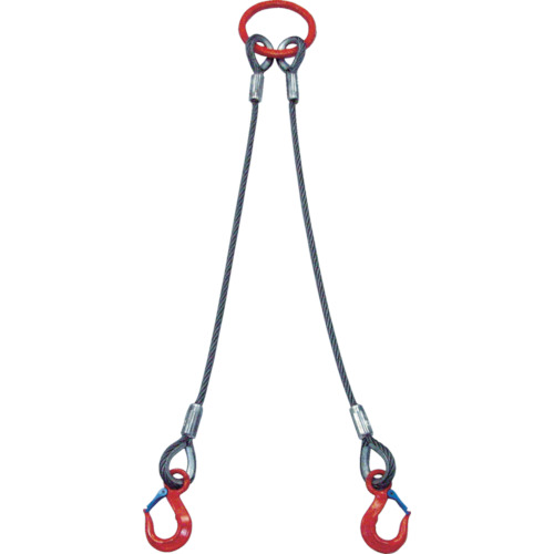 2本吊 ワイヤスリング 5t用×2m 2WRS 5TX2 大洋製器工業製｜電子部品・半導体通販のマルツ