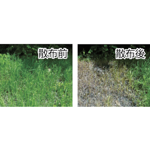すぐ効く除草剤スプレー【SJSP1L】