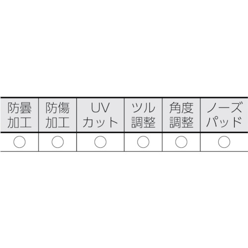 二眼型セーフティグラス (フィットタイプ)【TSG-9160R】