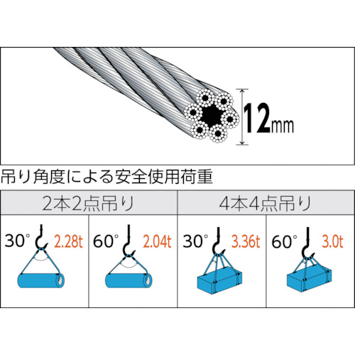 玉掛けワイヤーロープ 段落し 12mmX2.5m【TWD-12S2.5】