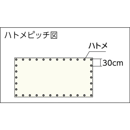ライトクリアメッシュシート 幅1.8mX長さ5.4m クリア【LCM-1854-TM】