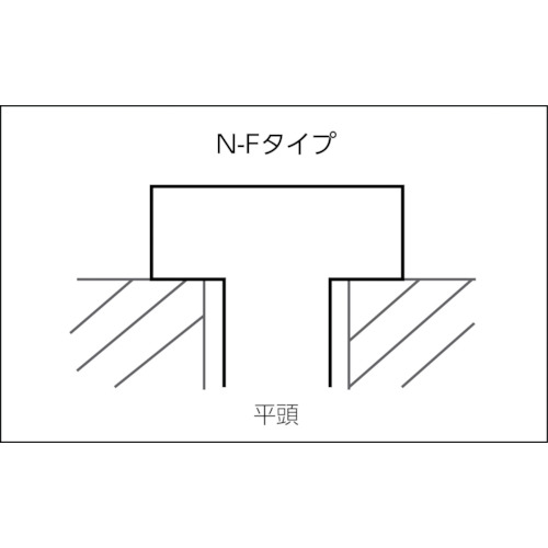 Nハンマーフィックス N6×40/10F (100本入)【513840】