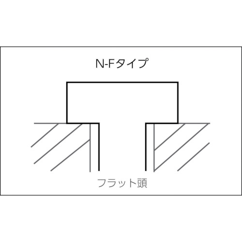 Nハンマーフィックス N6×40/10F (100本入)【513840】