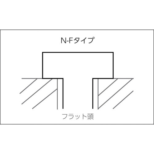 Nハンマーフィックス N6×60/30F (100本入)【513841】