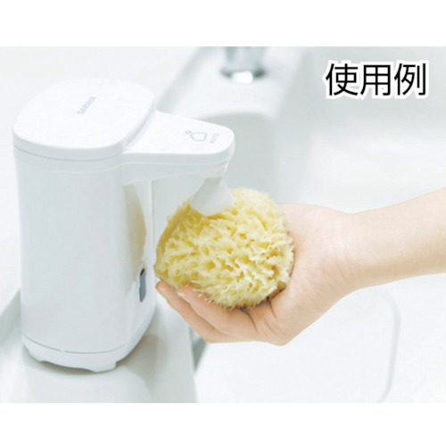 ヤシノミ洗剤泡 EF500mLスパウト【42096】