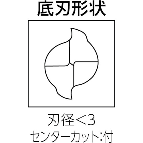 MSTAR超硬エンドミル MS2LS 汎用 2枚刃(ロング刃長)φ0.8【MS2LSD0080】