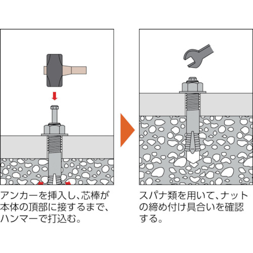 オールアンカーCタイプ M10X100 8本入【C-1010BT】