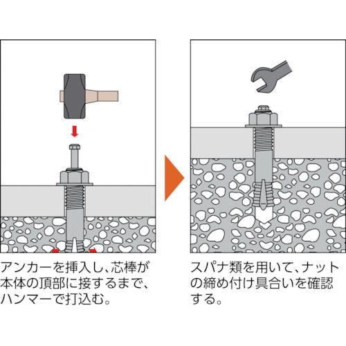 オールアンカーCタイプ M20X230 2本入【C-2023BT】