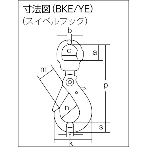 チェーンスリング100(アイタイプ)【1-MFF-BKE-10】