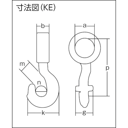 チェーンスリング100(アイタイプ)【1-MFF-KE-10】