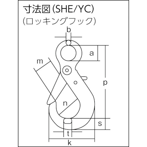 チェーンスリング100(アイタイプ)【1-MFF-SHE-10】