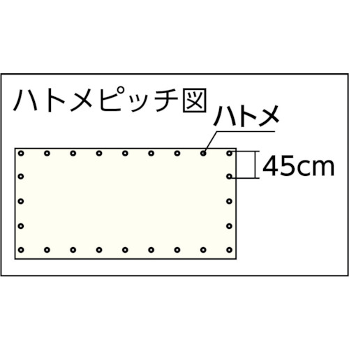 シート 難燃透明糸入りシート 2.7m×2.7m クリア【B-326】