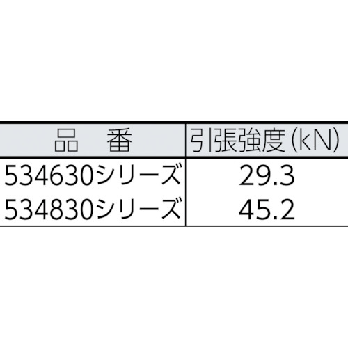 セイフライン 9.5φ×91m 赤/黄【534630RDYE】