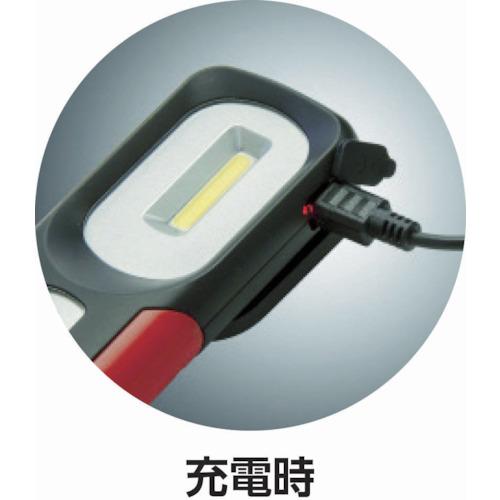 LED投光器 GANZ 301【GZ-301】