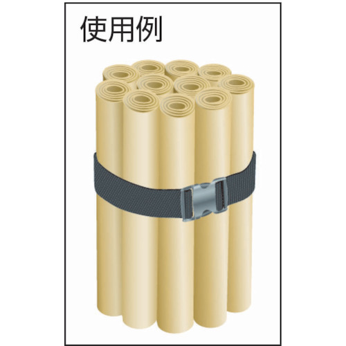 耐衝撃樹脂バックル付結束ベルト 50mm【TLB-WG-KB50】