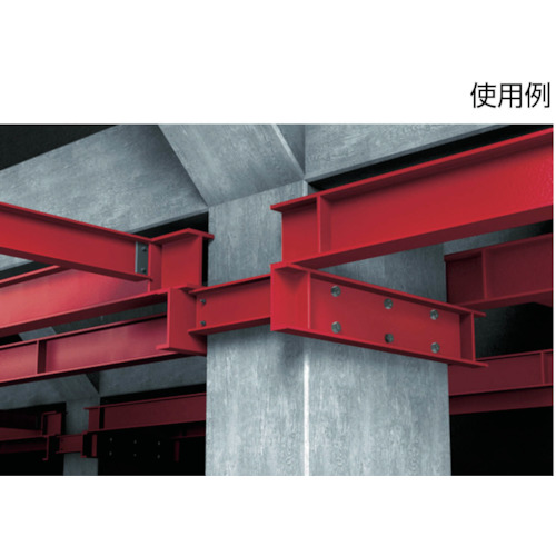 ボルトアンカー FAZ2 12/100 A4 (20本入)【501421】