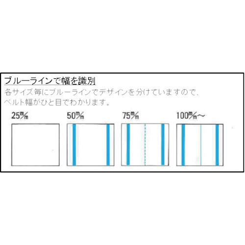 耐化学薬品用スリング(JIS2等級・両端アイ形)25mm幅×3m【PP2E25X3】