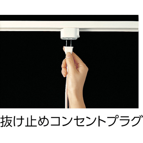 抜止めコンセントプラグ2P15A E付【DH2684】