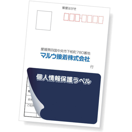 個人情報保護ラベルS(90X45mm)10枚入り【APIP-S-S】