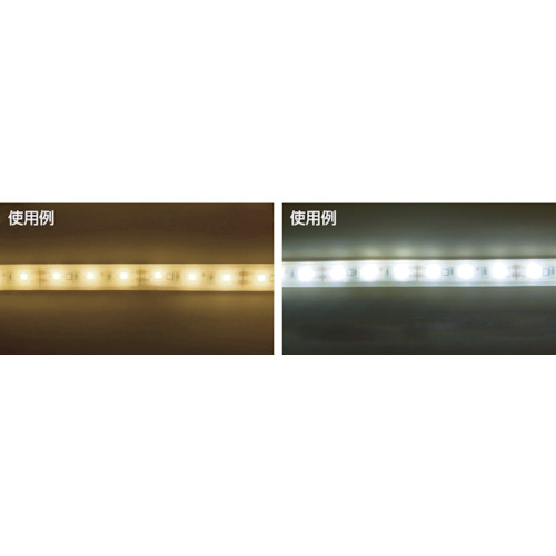 LEDテープライト 33mmP 5000K 3M巻【TP503-33PN】