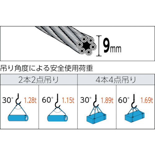 ワイヤーロープスリング Aタイプ アルミロック 9mmX1m【TWAL-9S1】