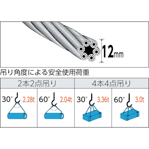 ワイヤーロープスリング Aタイプ アルミロック 12mmX2m【TWAL-12S2】