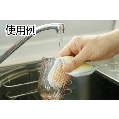 そうじの神様 極ラクブラシW 台所用【S006】