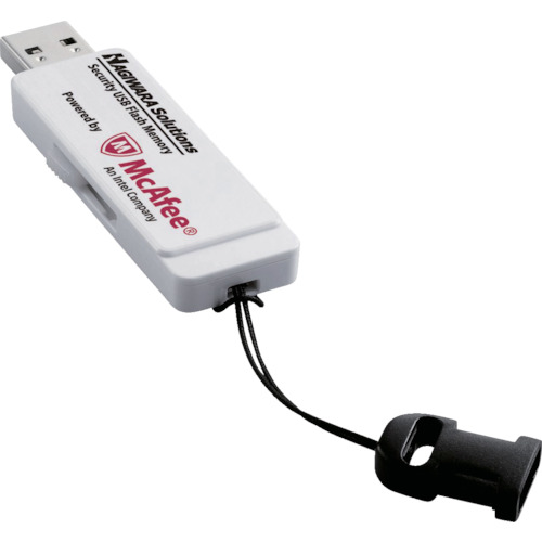 ウィルス対策機能付USBメモリー 4GB 1年ライセンス【HUD-PUVM304GA1】