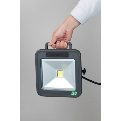 白色LED 30W【LWA-30】