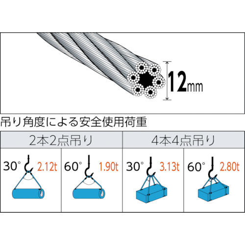 Wスリング Aタイプ カラー被覆付 12mmX3.0m【GRC-12S3】