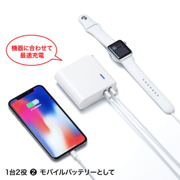 AC充電器一体型モバイルバッテリー(5200mAh)【BTL-RDC17W】